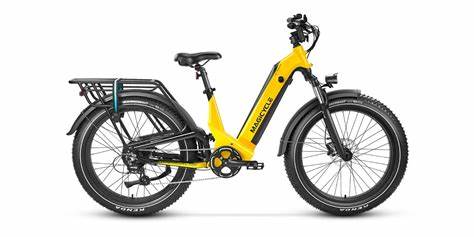 Magicycle Deer Full Suspension Electric Fat tire bike