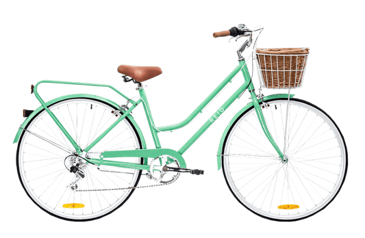 REID CLASSIC 24" PETITE 7sp MINT GREEN for small rider or child